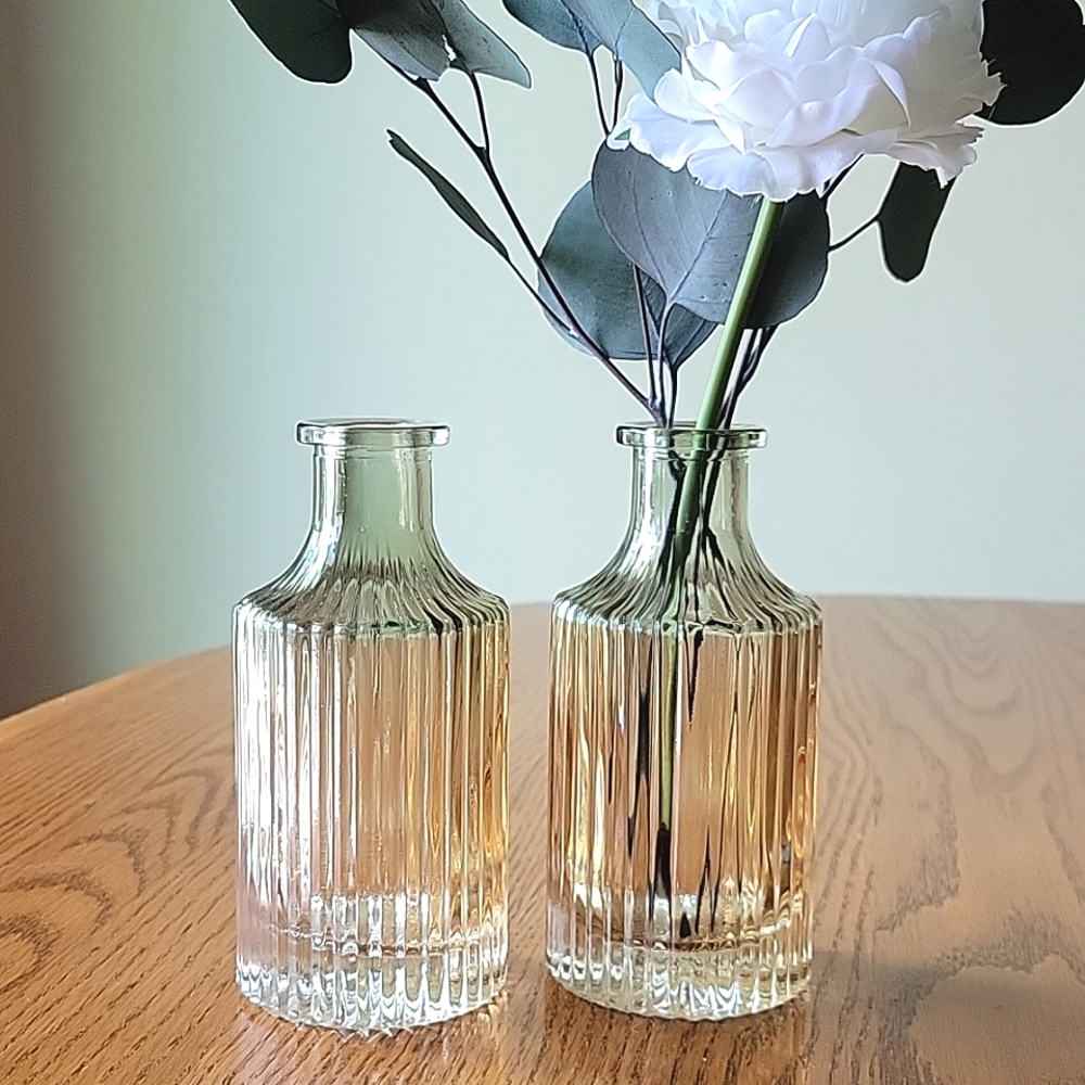 Set of 2 European Style Gradient Bud Vases